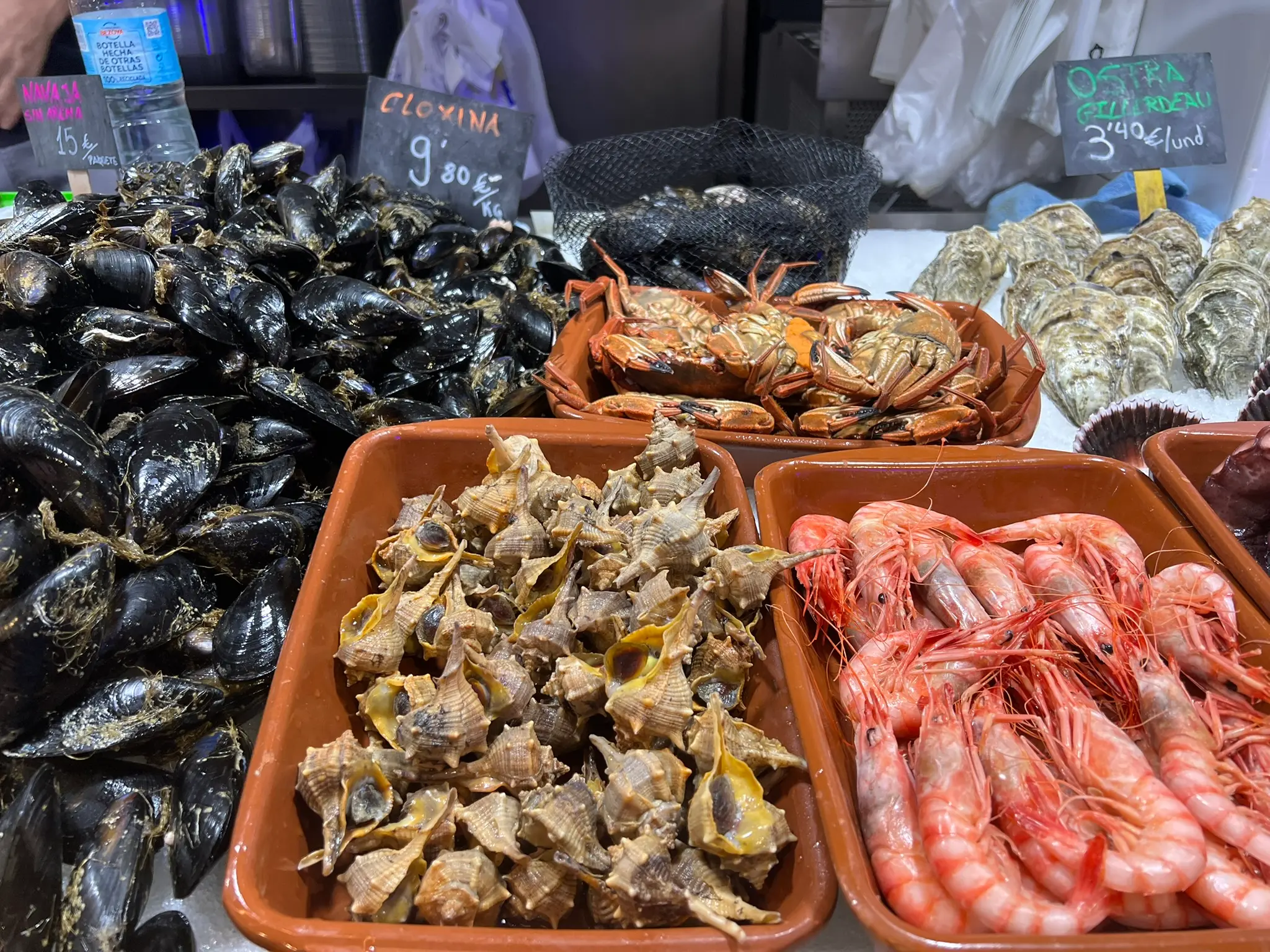 Valencian mussels (Cloxinas), sea snails, Mediterranean prawns