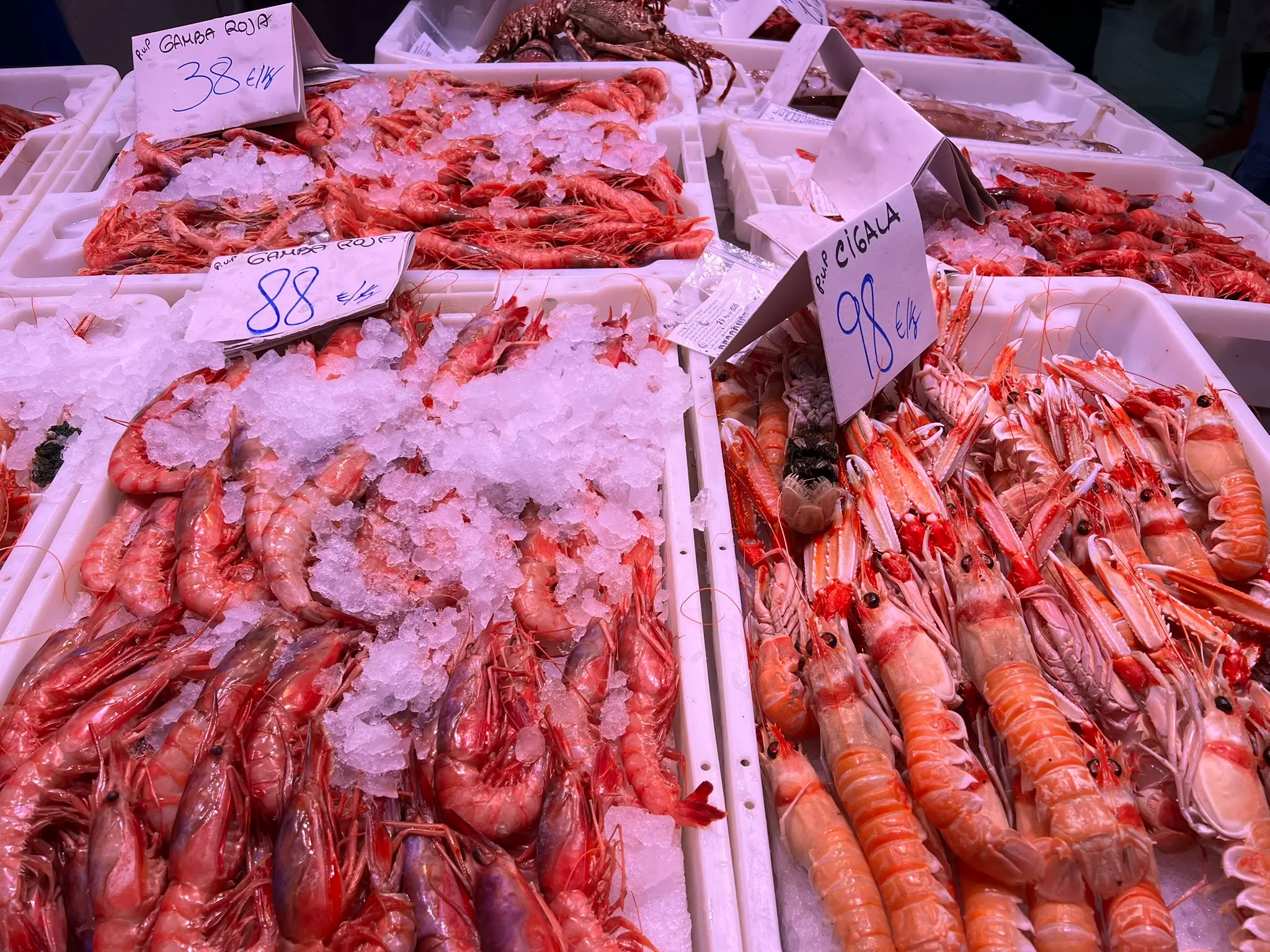 Mediterranean prawns (Gamba Roja) and Norway lobsters (Cigala) on ice