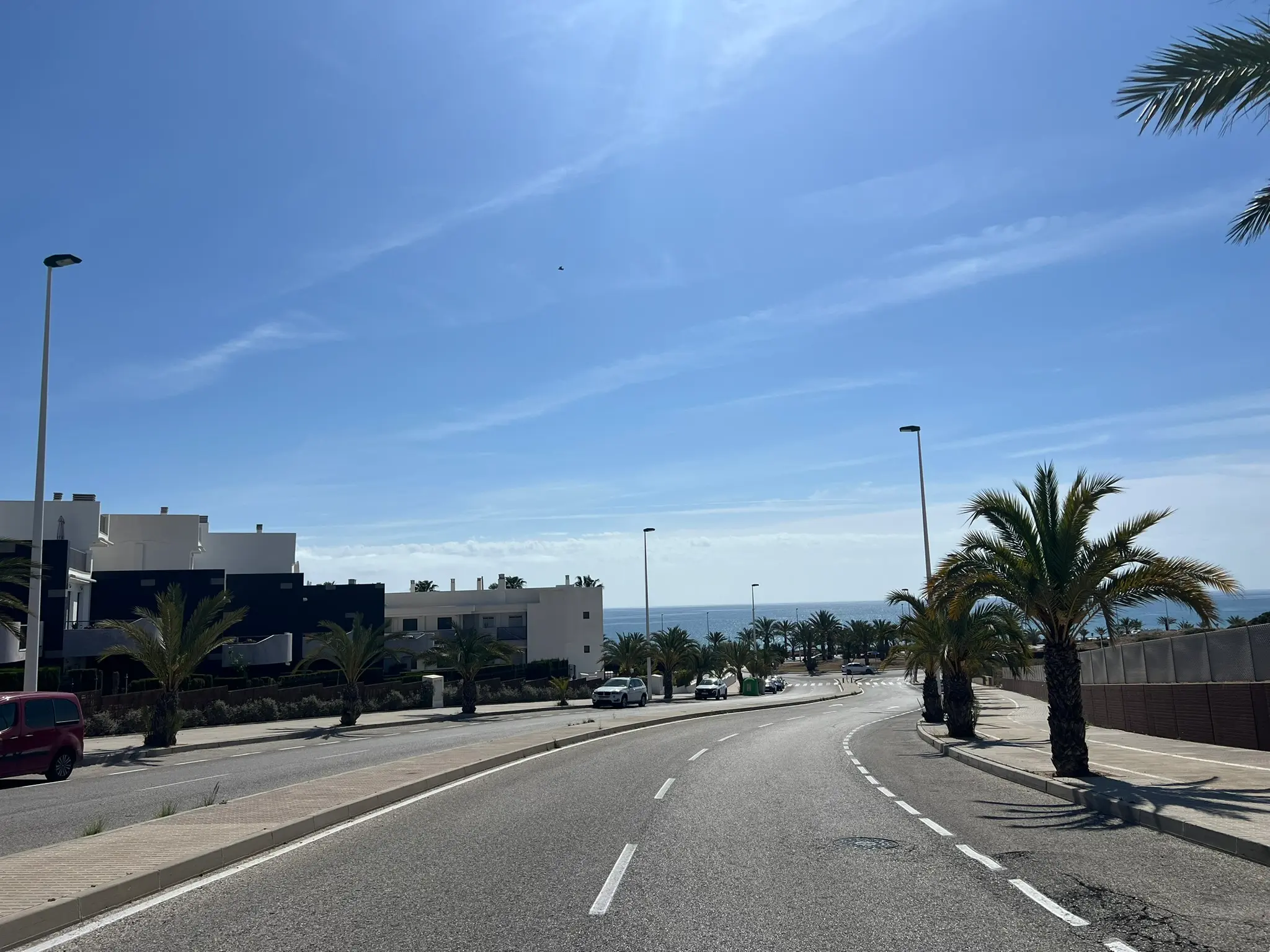 A scenic coastal road leading directly to the pristine Platja del Carabassí beach, framed by palm trees and overlooking the Mediterranean Sea.