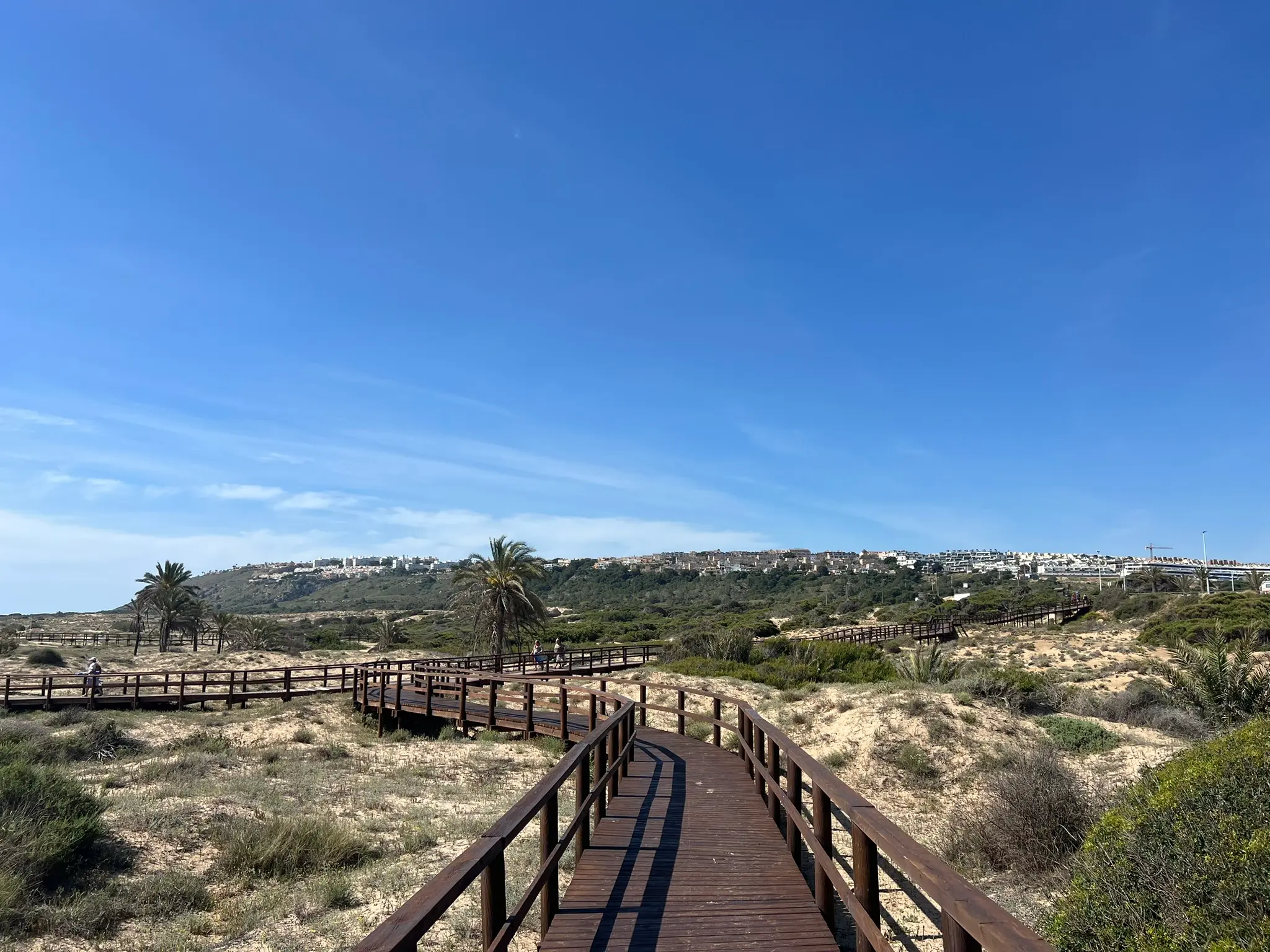 A breathtaking panoramic view of the extensive wooden boardwalk network winding through the protected sand dune ecosystem at Platja del Carabassí beach in Alicante, Spain.