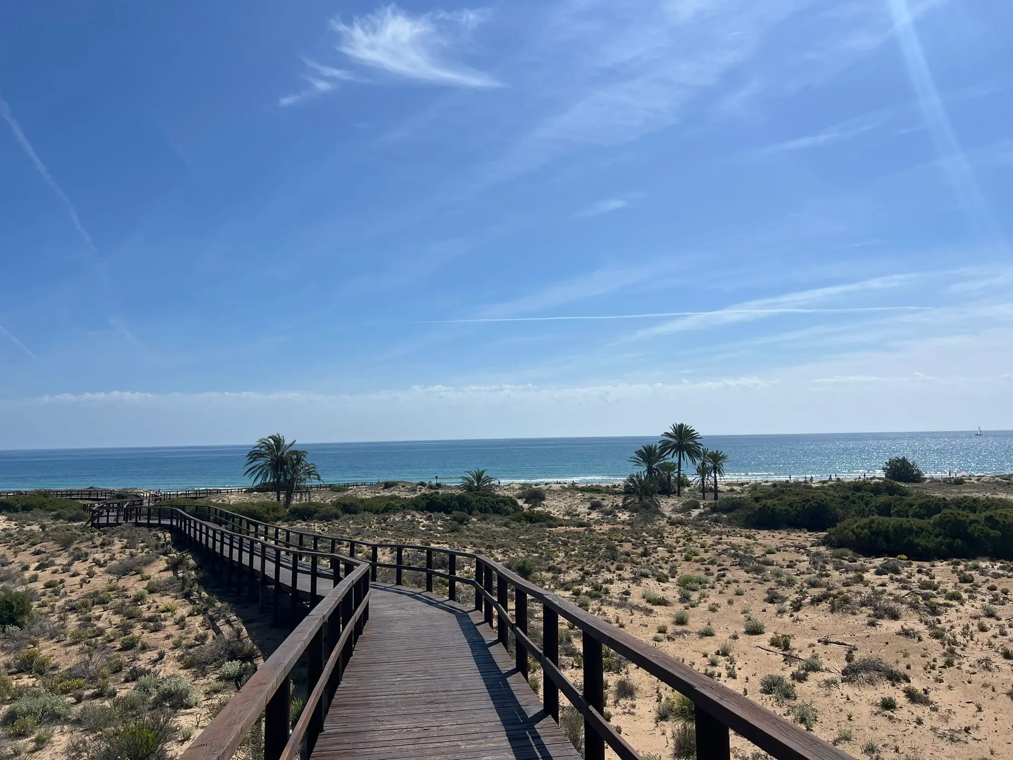 Playa del Carabassí wild dunes and crystal clear water in Gran Alacant