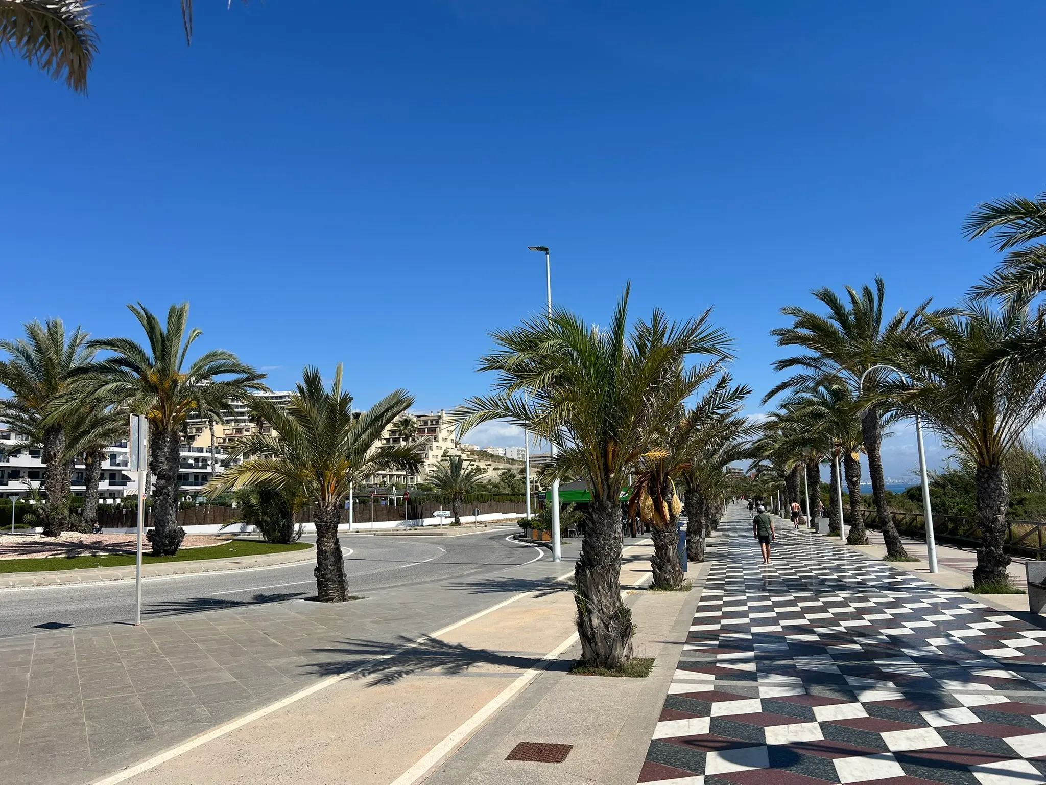 A beautiful panoramic view of the Costa Blanca coastal promenade near Platja del Carabassí beach in Alicante, lined with palm trees and a checkered black-and-white tile pattern.