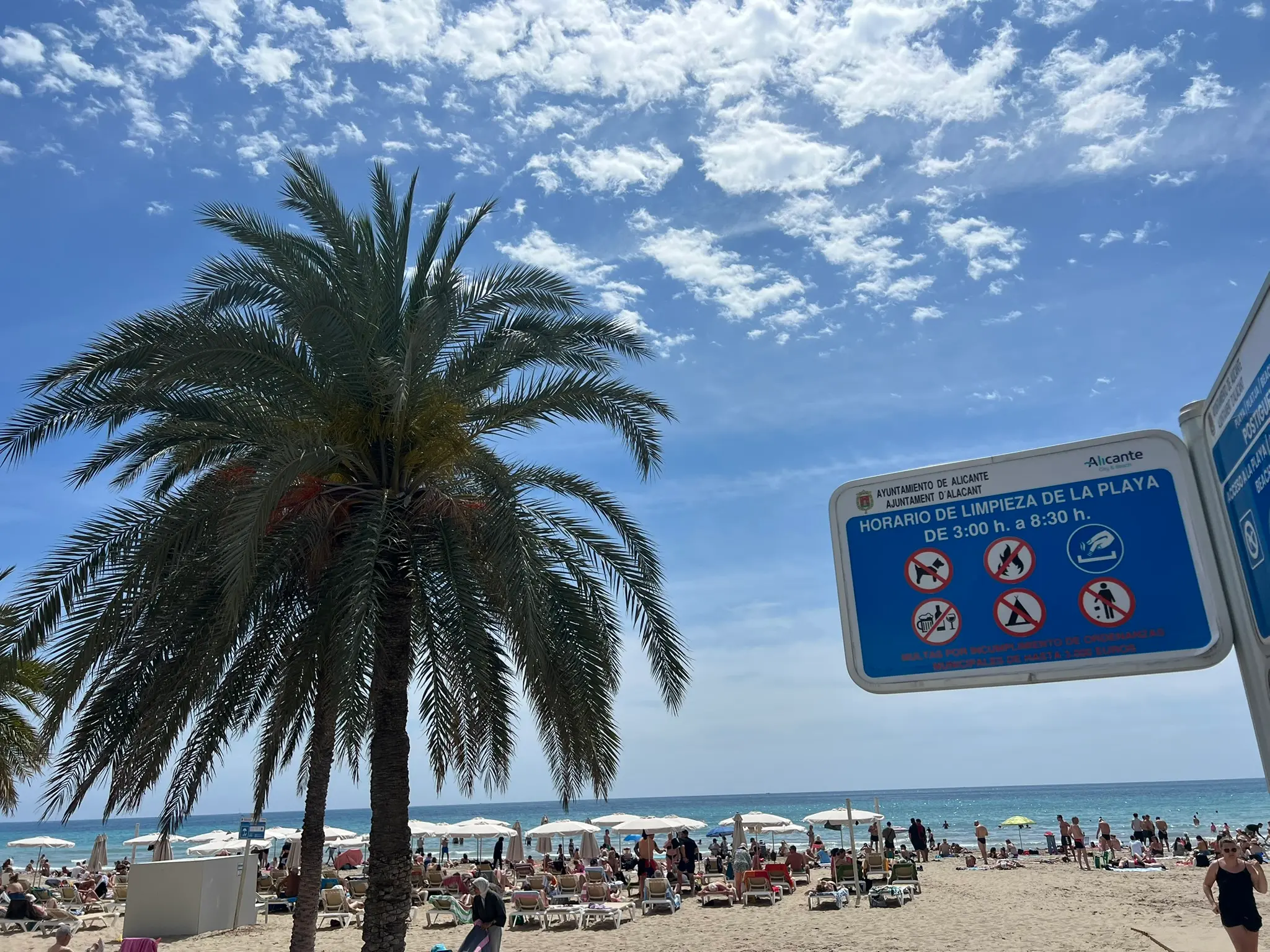 Playa del Postiguet Alicante — official beach rules sign with sunbeds and umbrellas on busy city beach, palm tree and Mediterranean sea in background