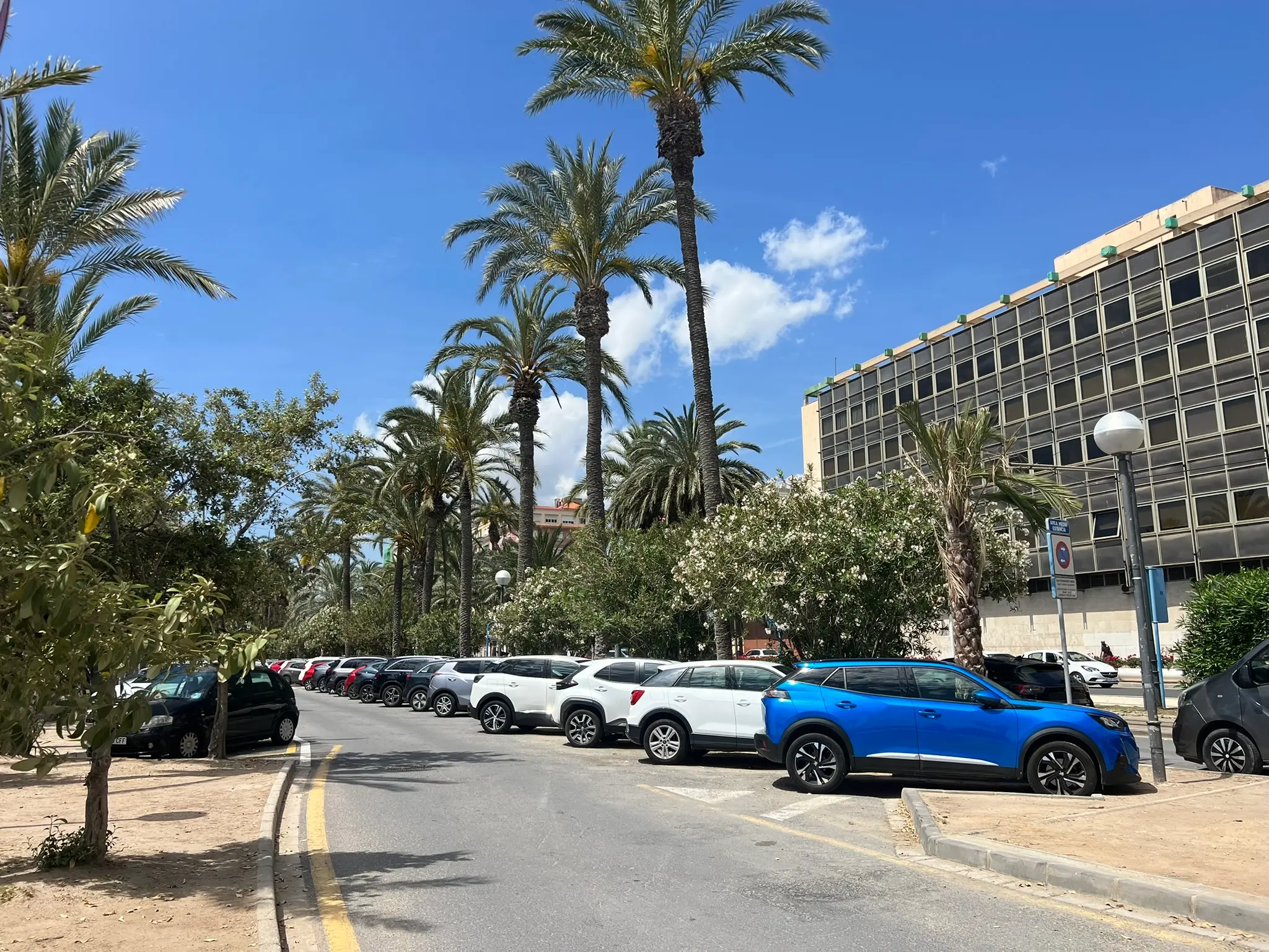 Playa del Postiguet Alicante — street parking with pay-and-display meters near the beach, palm-lined road close to Postiguet city centre beach