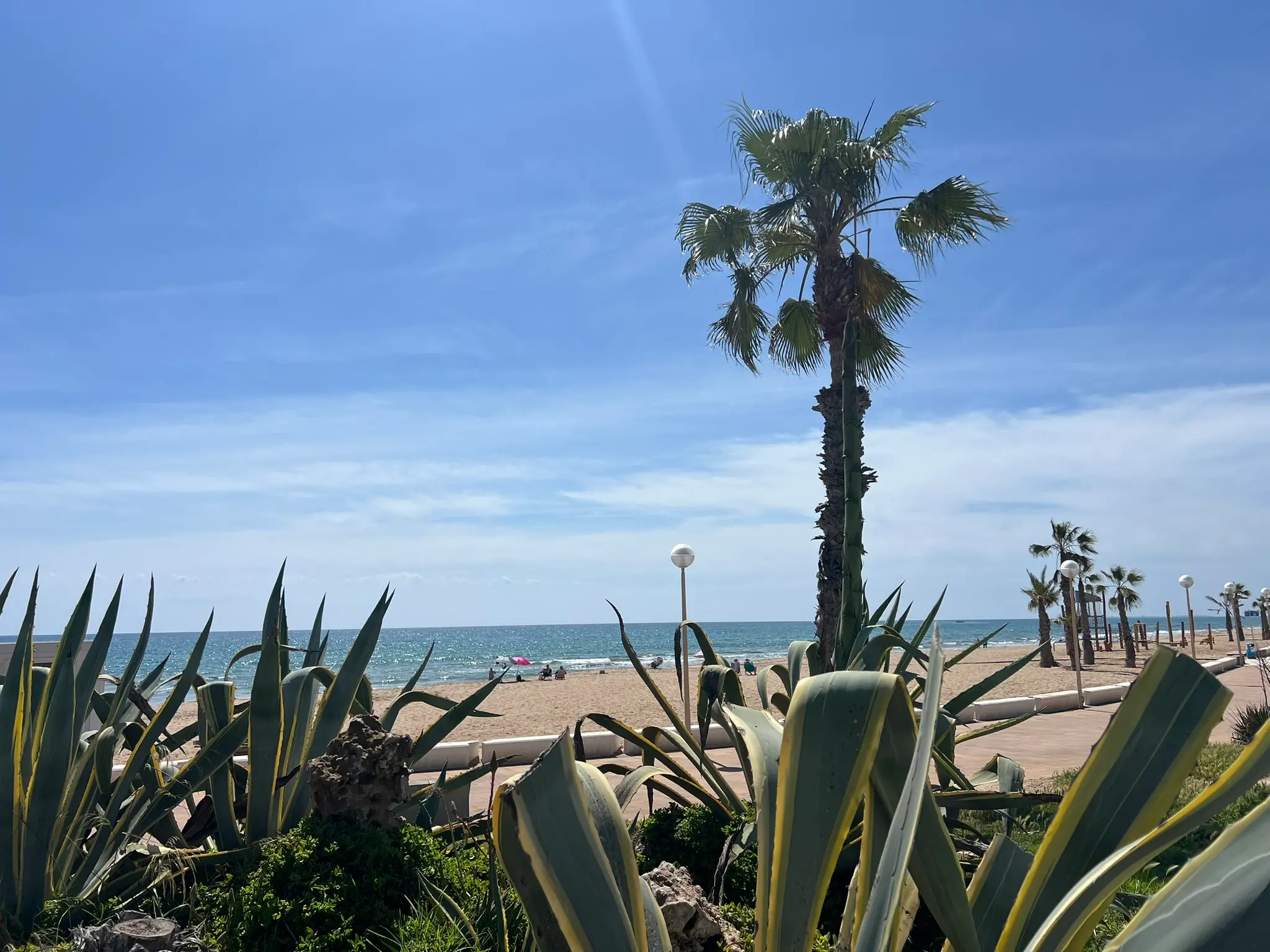 Playa del Saladar Alicante — Mediterranean sea view through agave plants and palm trees, Urbanova beach