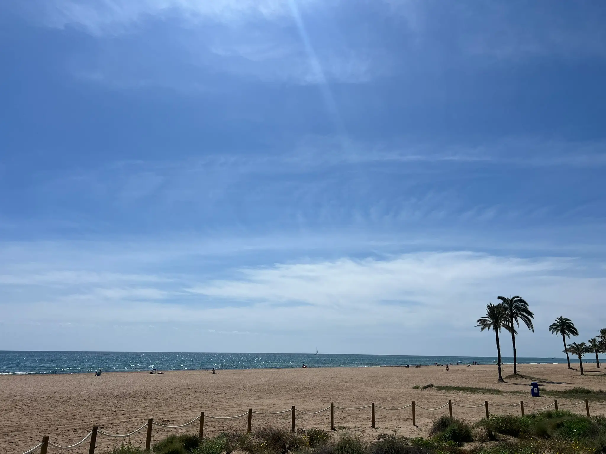 Playa del Saladar Alicante — wide golden sand beach with dune protection fence, palm trees and sailboat on the Mediterranean, Urbanova