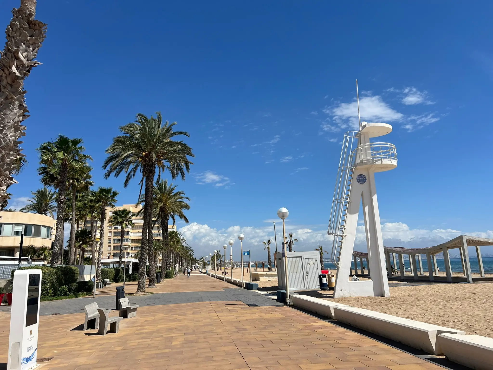 Playa del Saladar Urbanova Alicante — lifeguard tower, wide palm-lined promenade and golden sand beach, Blue Flag certified