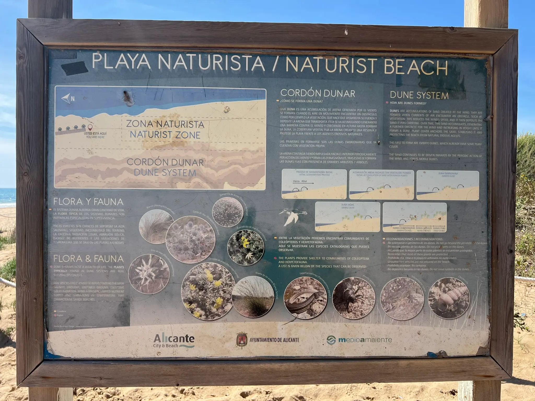 Playa del Saladar Alicante — naturist beach and dune system information sign, Urbanova Alicante