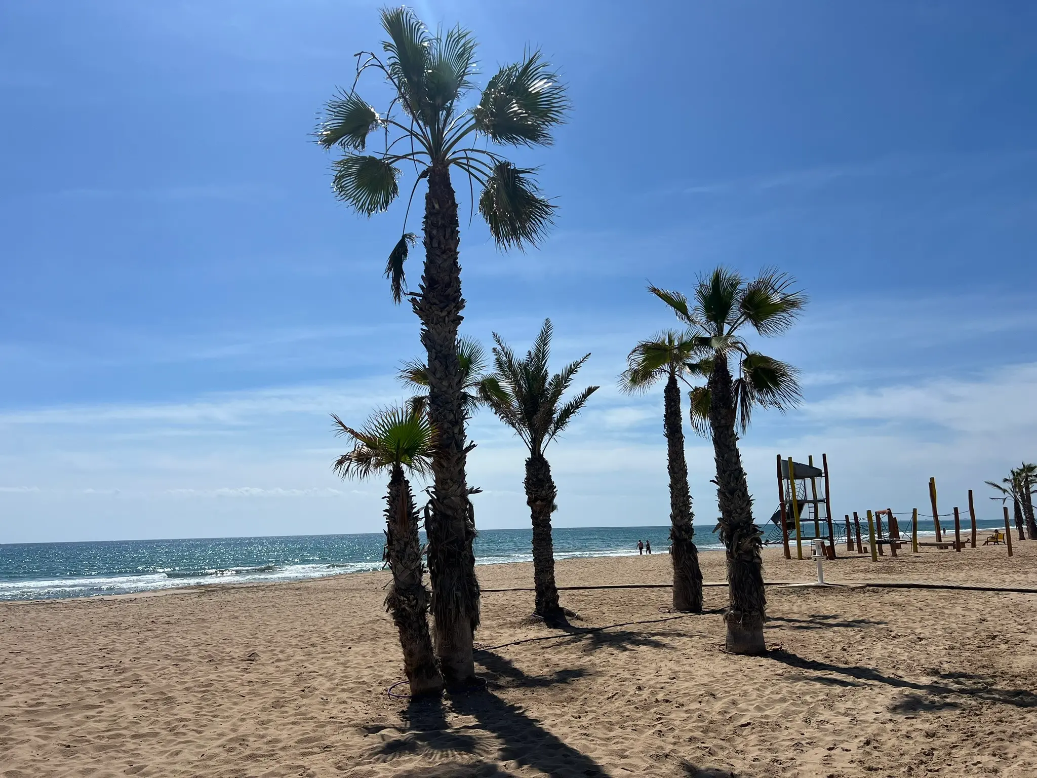 Playa del Saladar Alicante — palm trees growing directly on golden sand with children's playground and Mediterranean sea, Urbanova family beach