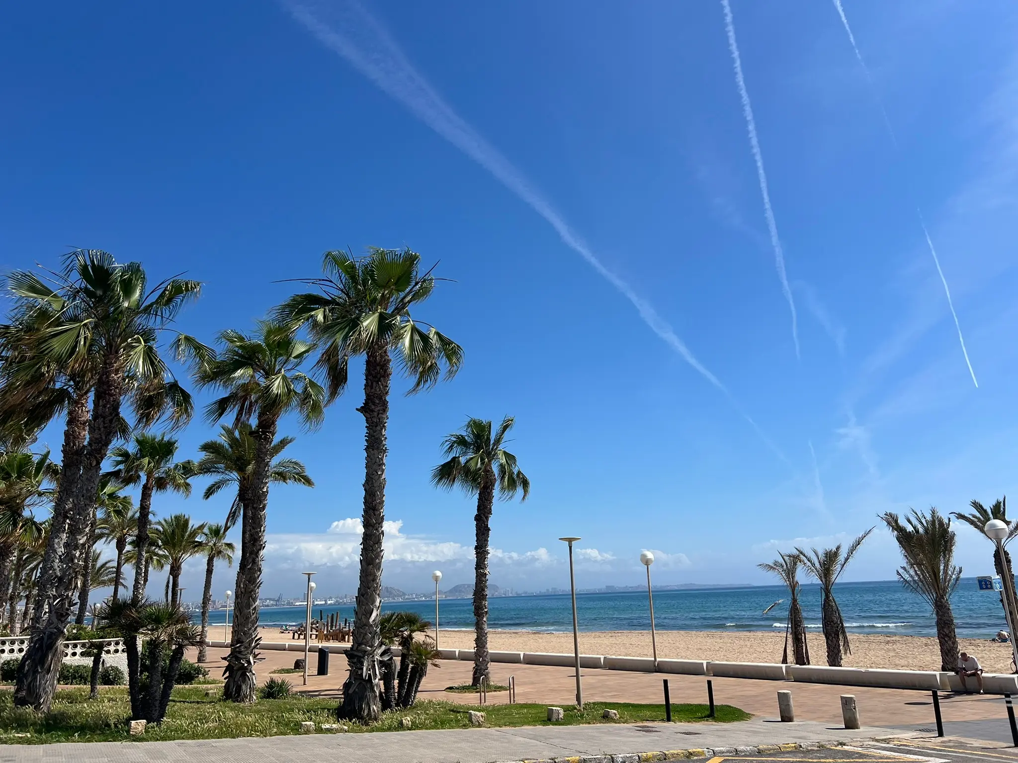 Playa del Saladar Alicante — palm tree promenade, golden sand beach and Alicante city views in background