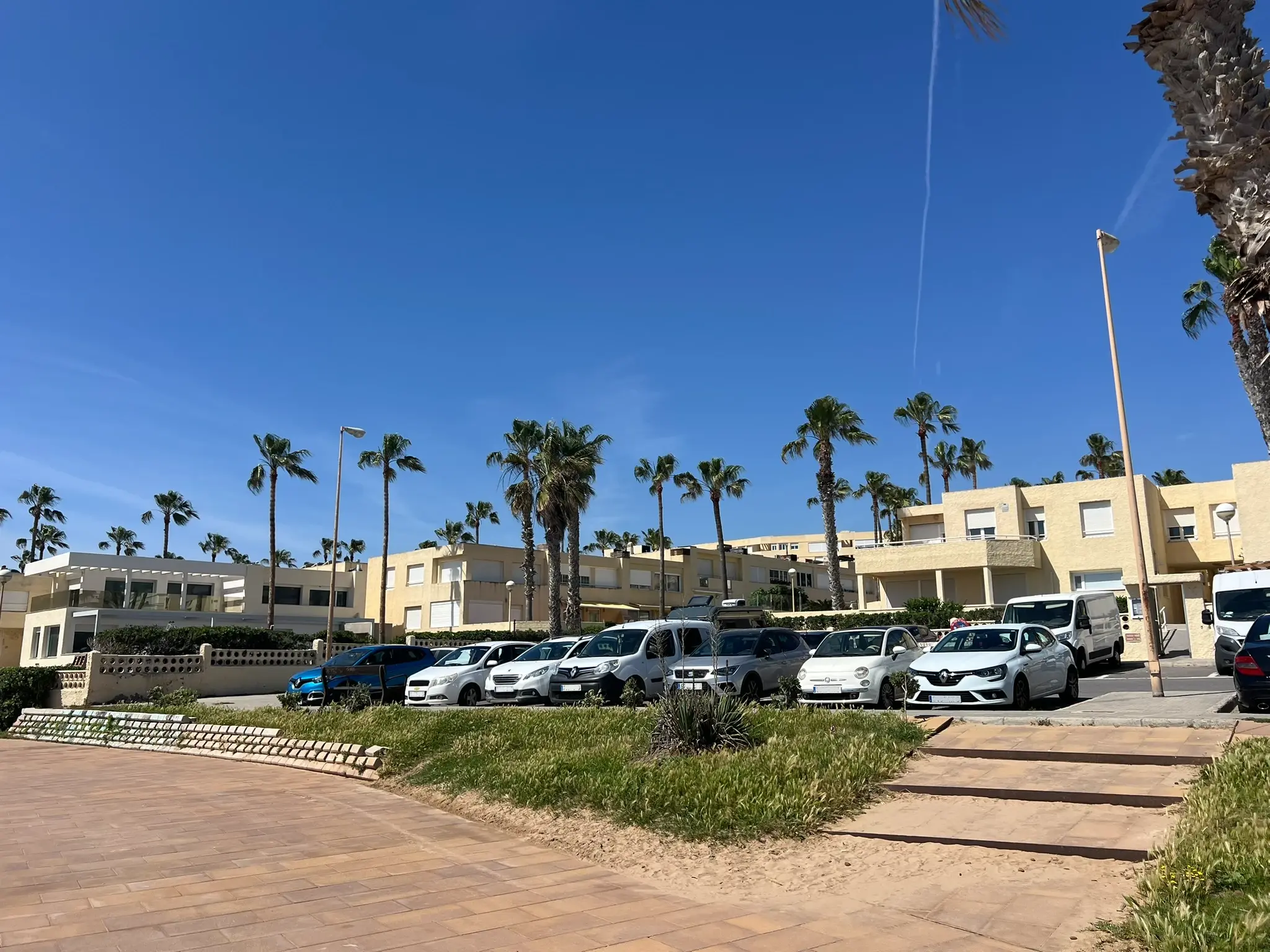 Playa del Saladar Alicante — free street parking near Urbanova beach with palm trees, easy parking close to the sand