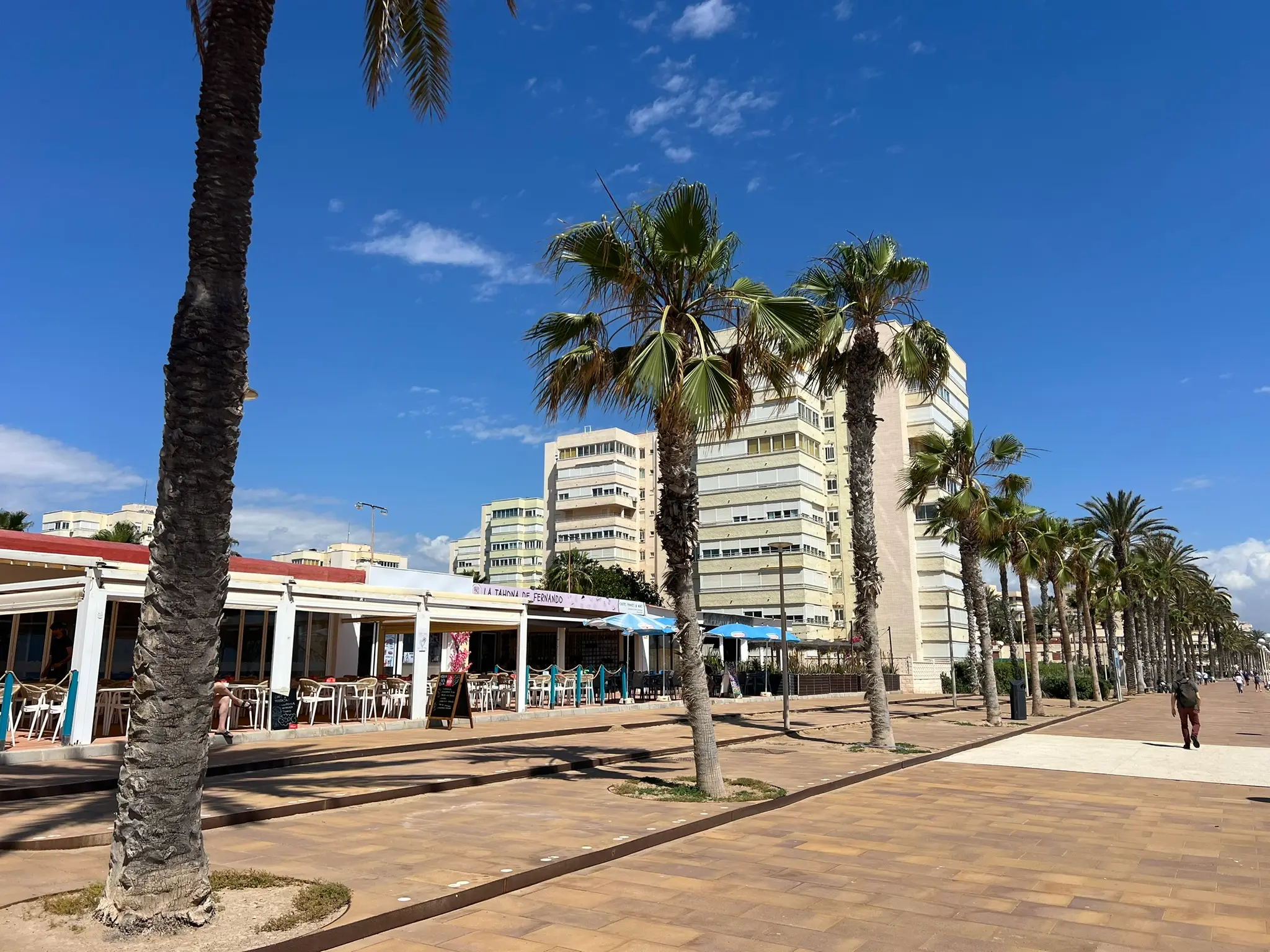 Playa del Saladar Urbanova Alicante — beachfront promenade with palm trees, restaurants and cafes along the seafront