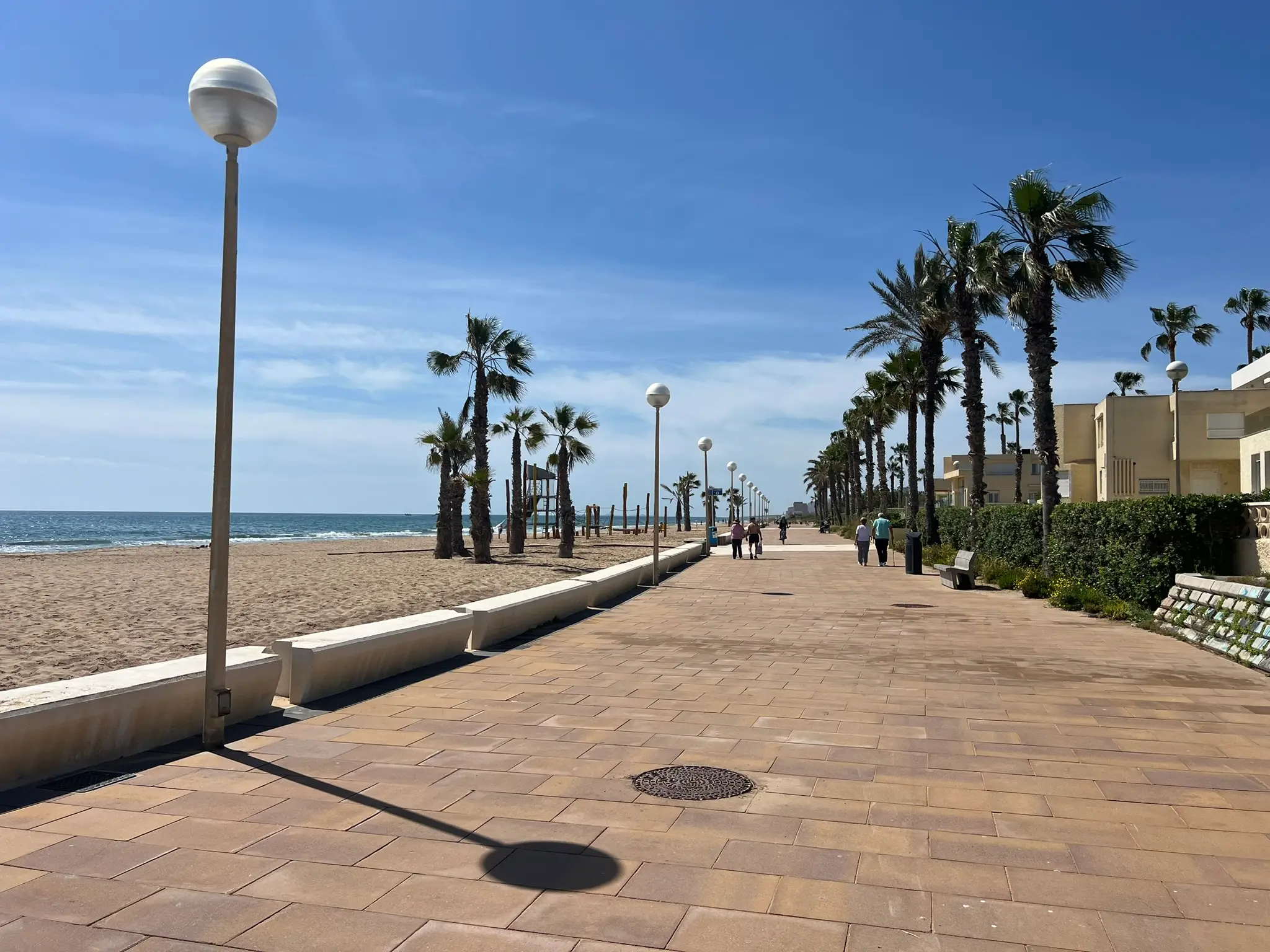 Playa del Saladar Alicante — quiet palm-lined beachfront promenade in Urbanova, uncrowded walking path along golden sand beach