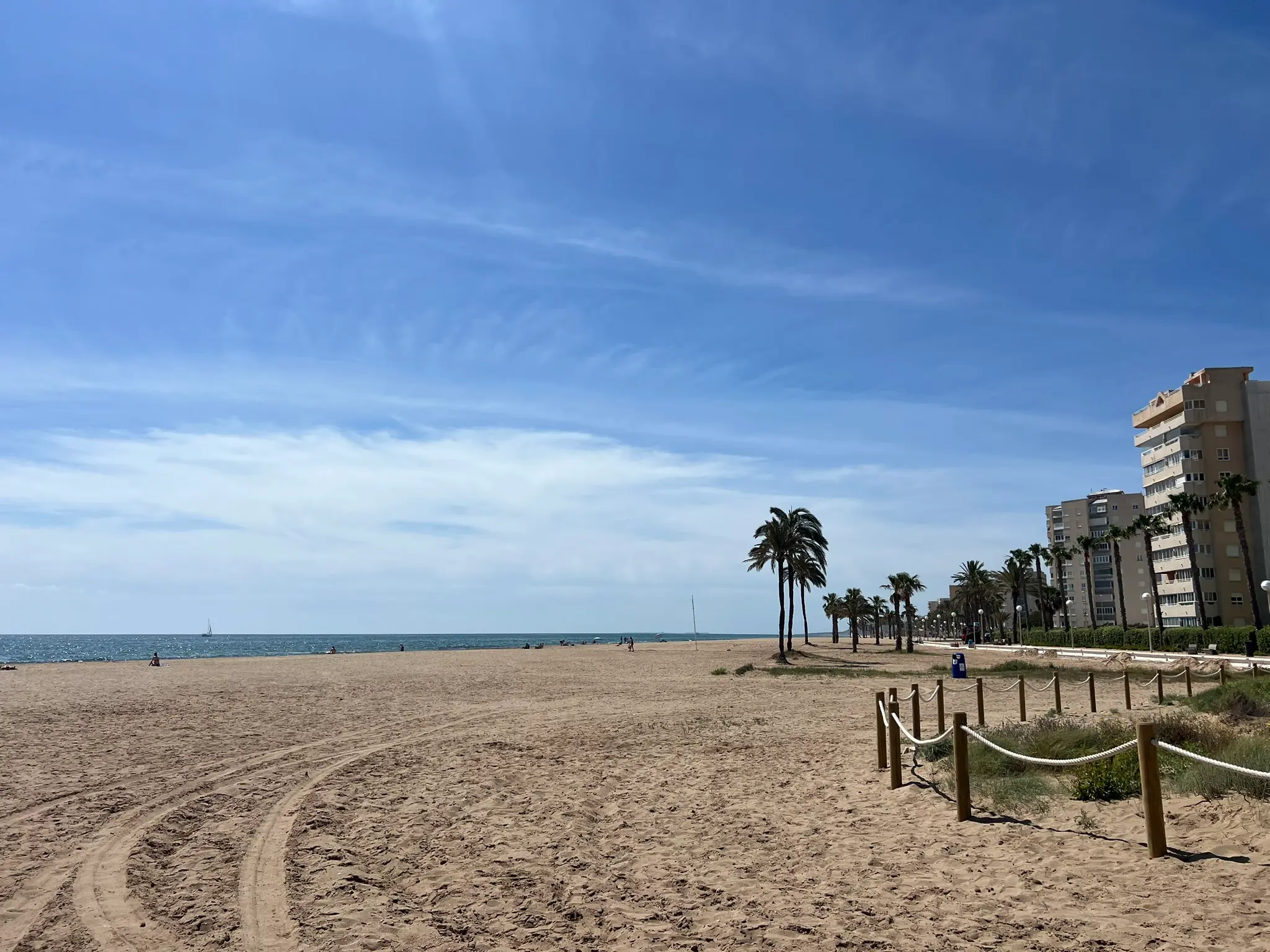 Playa del Saladar Alicante — wide uncrowded golden sand beach with palm trees and Mediterranean sea, Urbanova