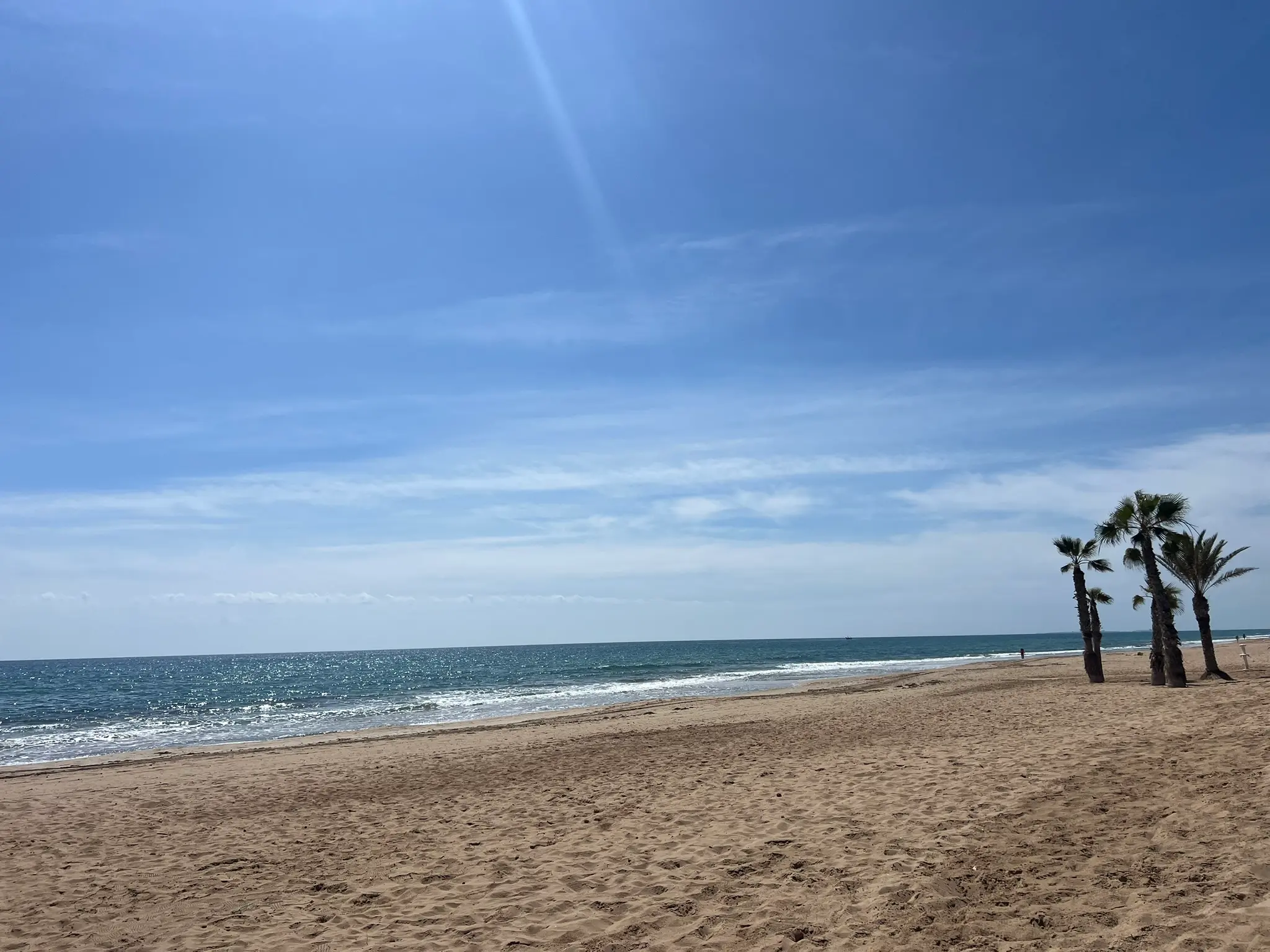 Playa del Saladar Alicante — wide quiet golden sand beach with palm trees and sparkling Mediterranean sea, uncrowded beach near Alicante