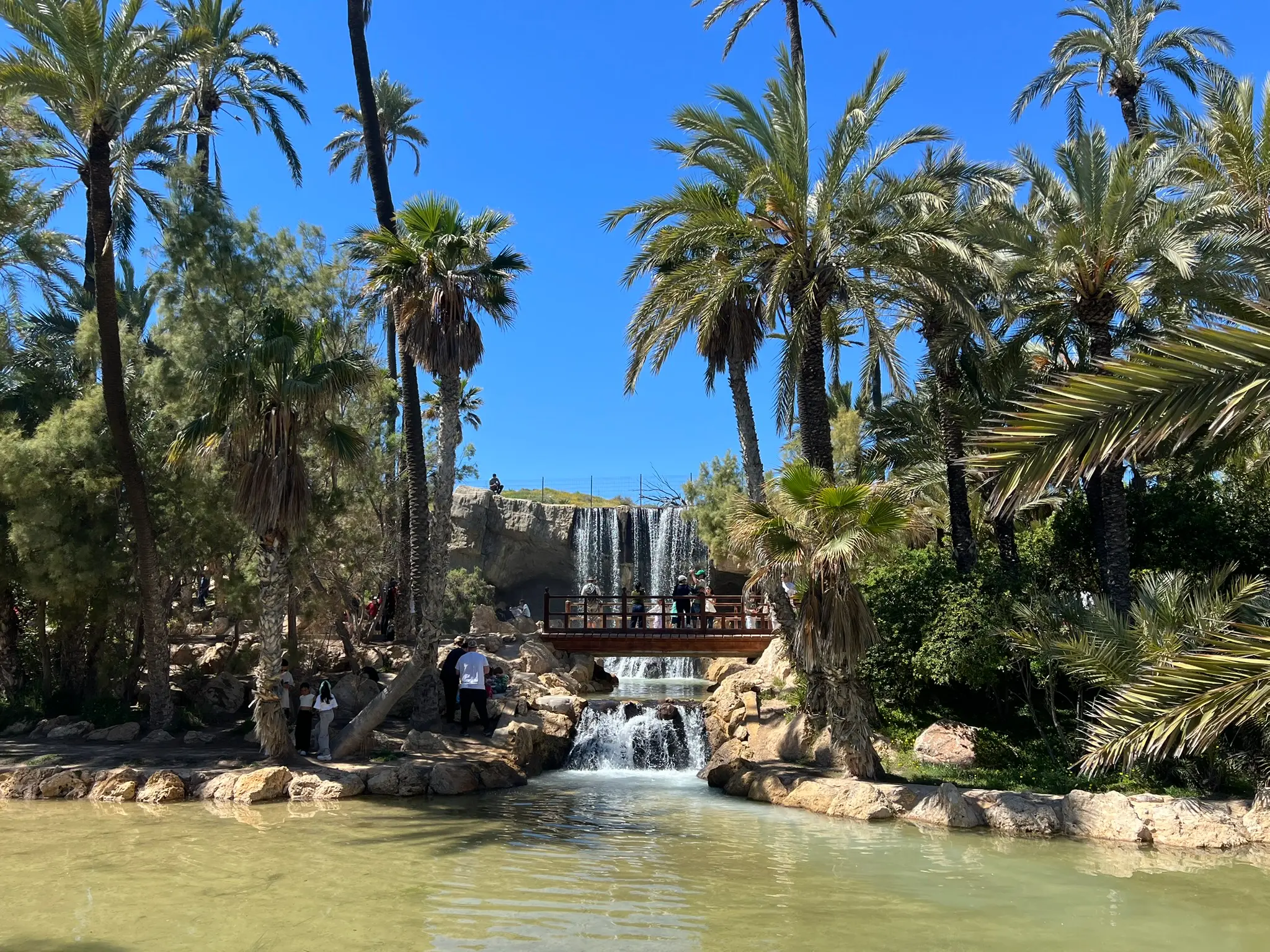 El Palmeral Park Alicante with palm trees and water features