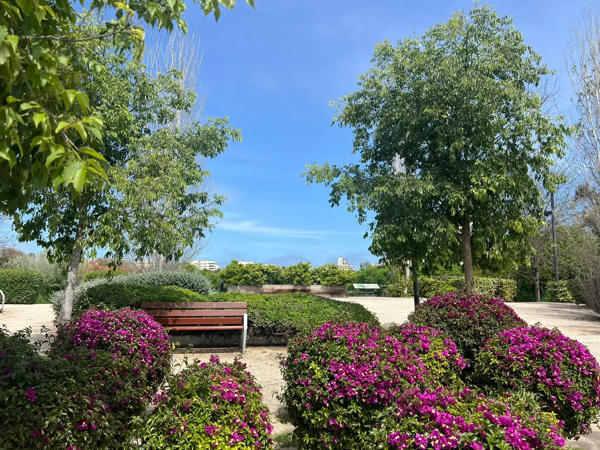 Parque de la Marjal Alicante with flowers and bench