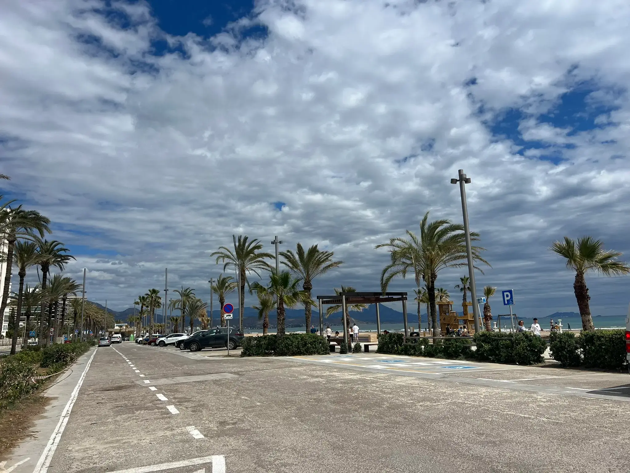 Accessible parking area and coastal road next to Playa de San Juan in Alicante — wide street lined with palm trees, blue parking signs, and the sandy beach with children's playgrounds in the background.