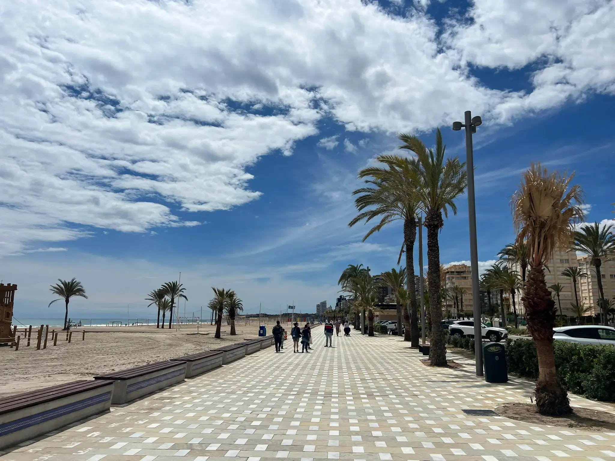 Beautiful panoramic view of Playa de San Juan beach in Alicante, Costa Blanca — modern paved promenade lined with palm trees and resting benches, residential buildings against the Mediterranean coastline.