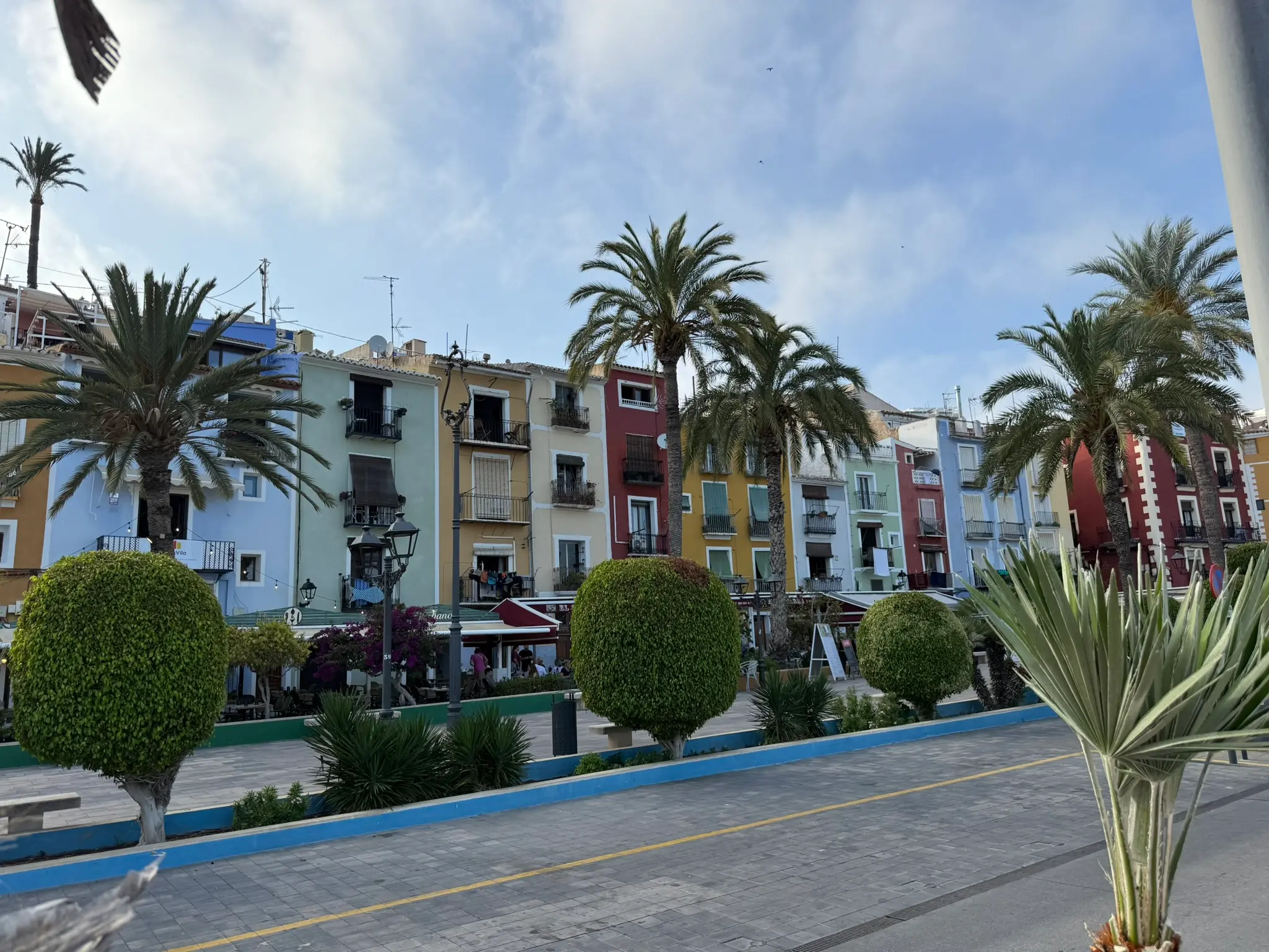 Scenic view of famous colourful historic houses along Villajoyosa coastal avenue — tall palm trees and green spherical shrubs in foreground, vibrant blue, yellow, and red facades
