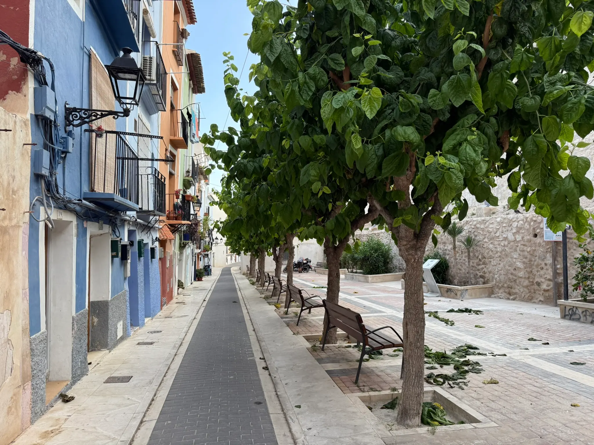 Scenic pedestrian path in Villajoyosa — green mulberry trees and benches alongside ancient stone wall, traditional terracotta houses with flowers