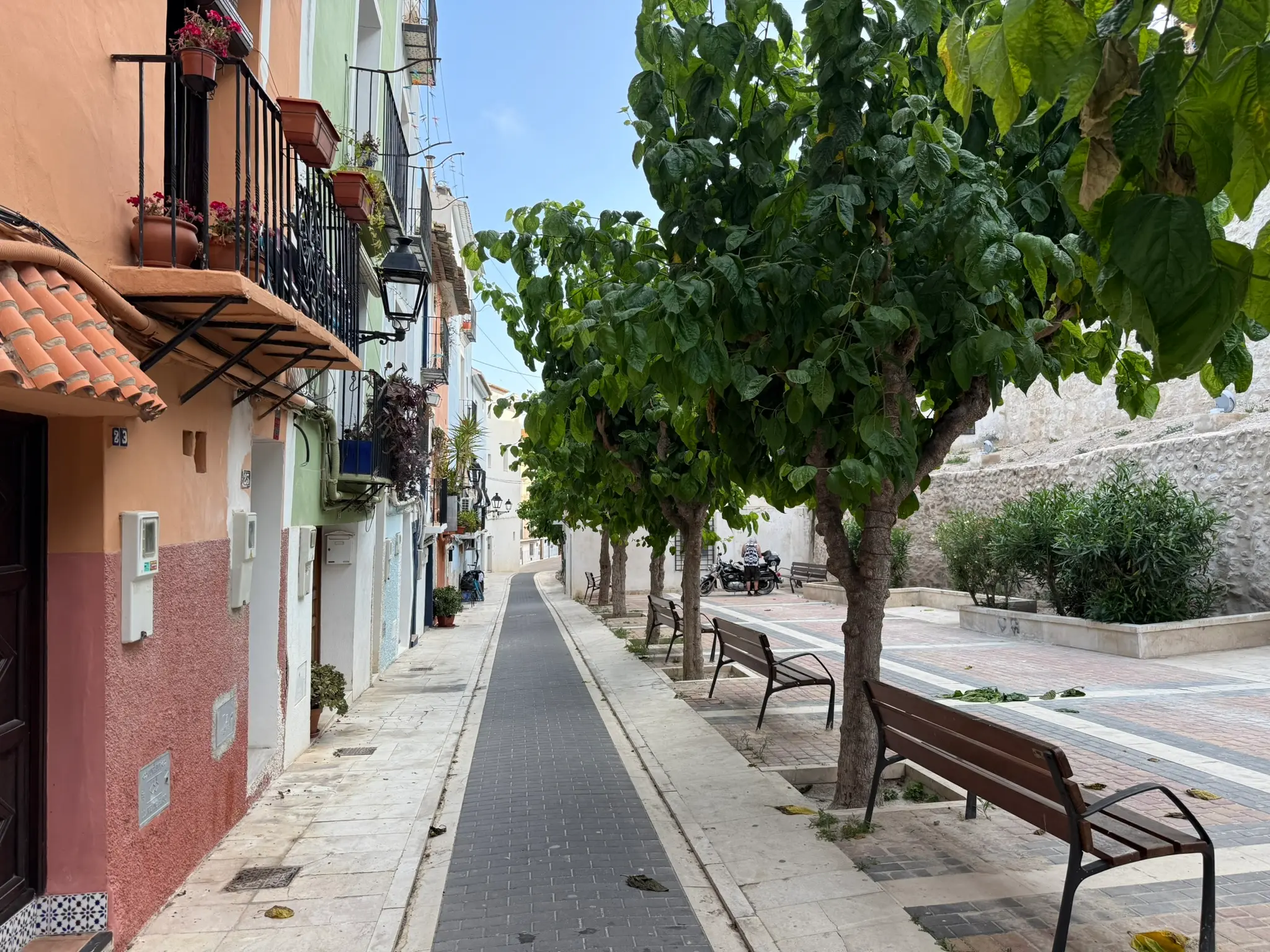 Quiet pedestrian street in Villajoyosa with wooden benches and green mulberry trees — colourful blue and orange houses alongside historic stone wall