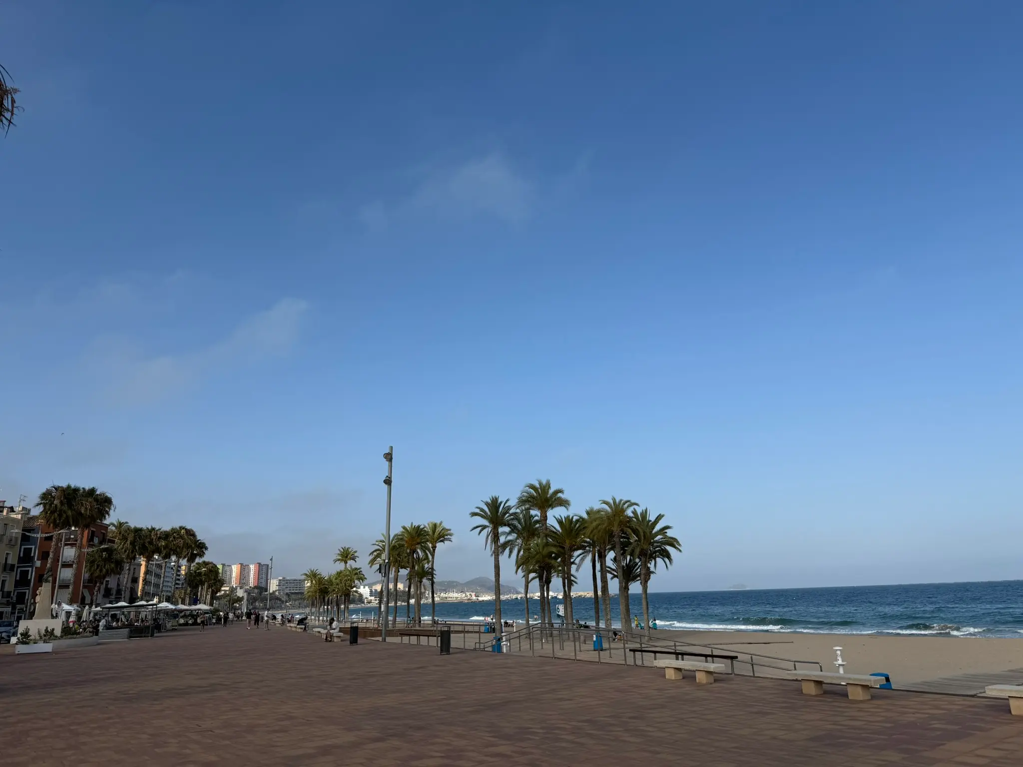 Wide panoramic view of Playa Centro beach promenade in Villajoyosa — paved walkway with tall green palm trees, sandy beach, and blue Mediterranean horizon